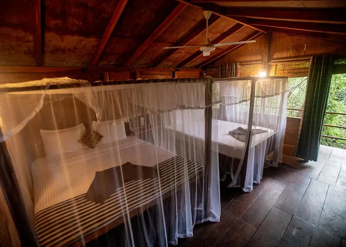 Inn On The Tree Eco Resort Sigiriya