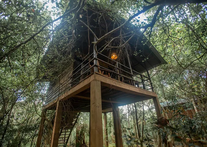 Inn On The Tree Eco Resort Sigiriya