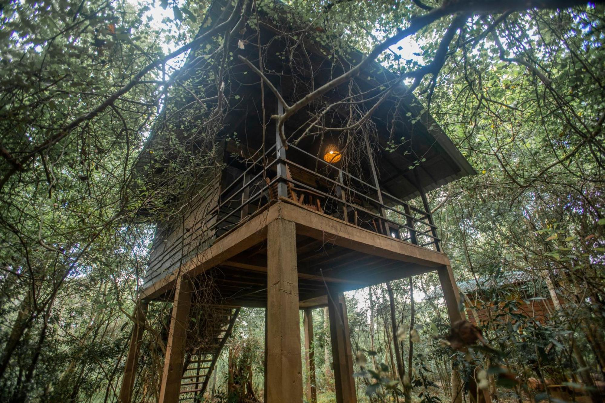 On The Tree Eco Sigiriya Hotel
