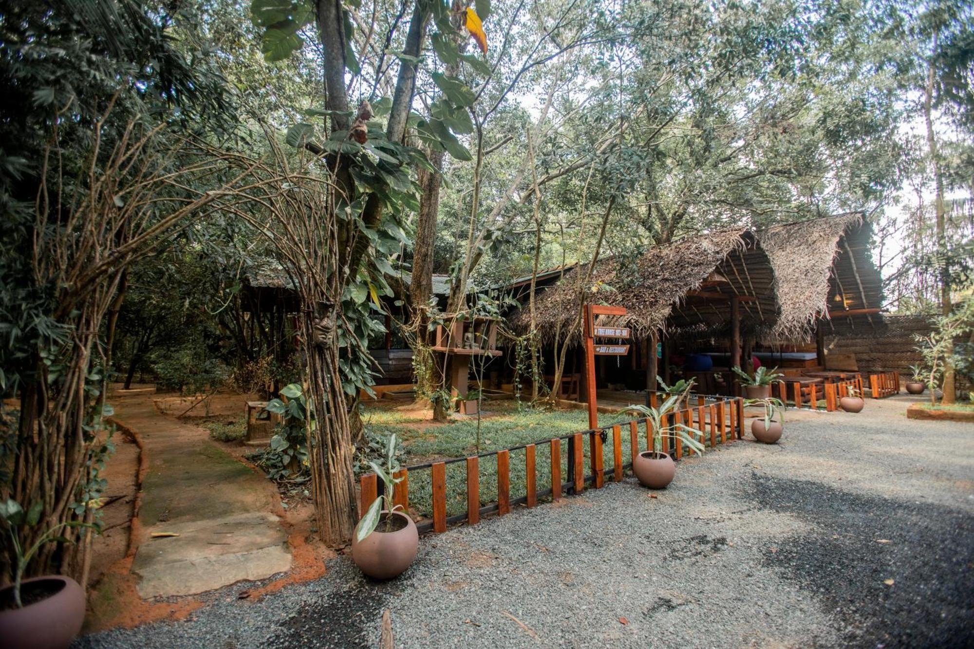 On The Tree Eco Sigiriya Hotel Kibissa