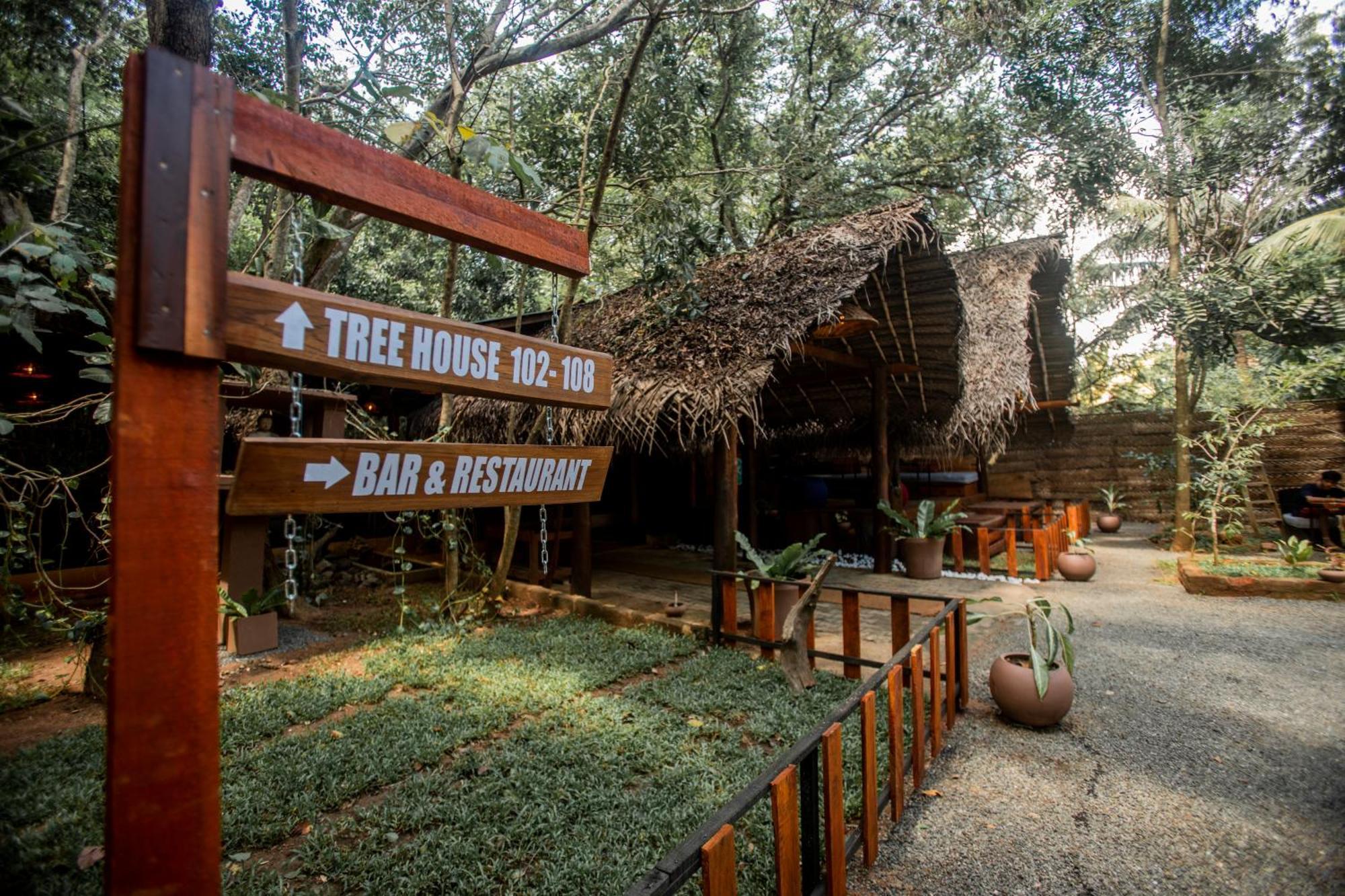On The Tree Eco Sigiriya Hotel Kibissa