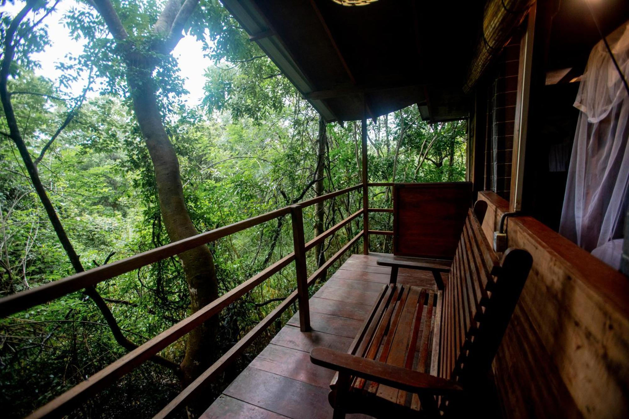 Hotel On The Tree Eco Sigiriya