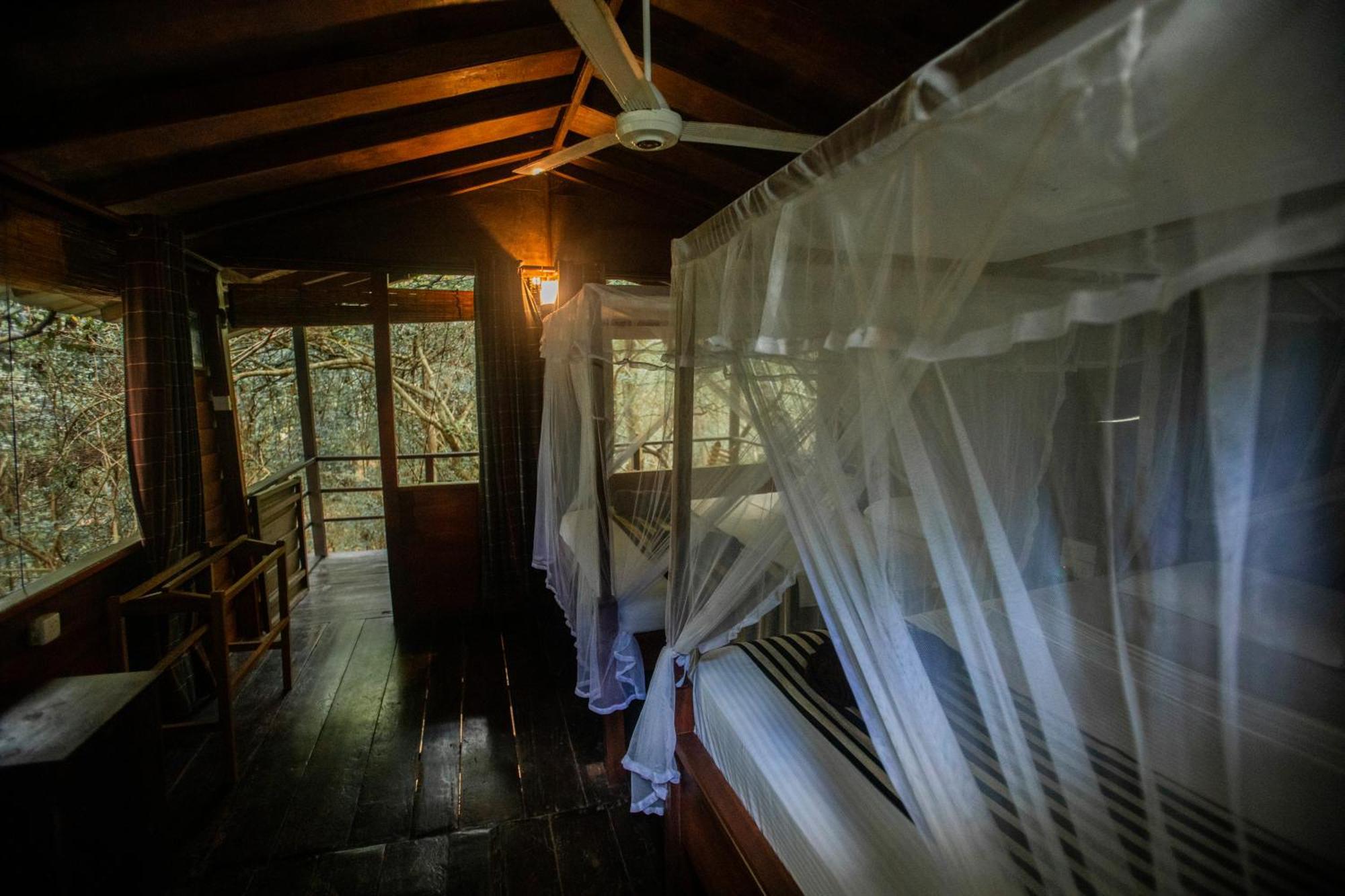 On The Tree Eco Sigiriya Hotel Kibissa